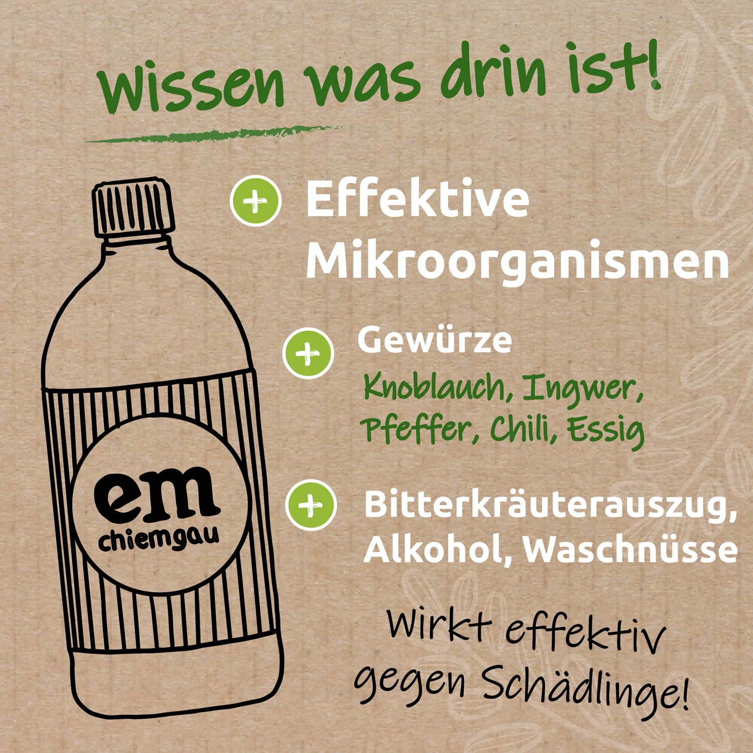 Vorschaubild 8