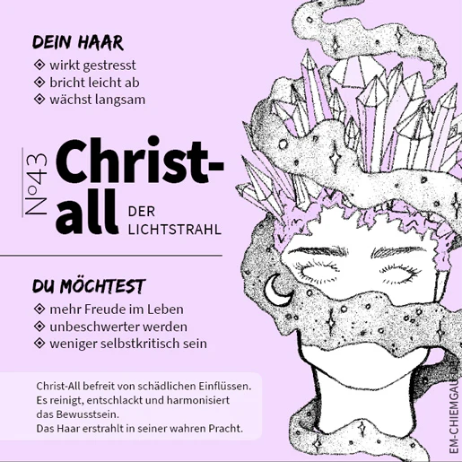 Vorschaubild 11