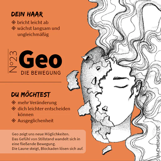 Vorschaubild 12
