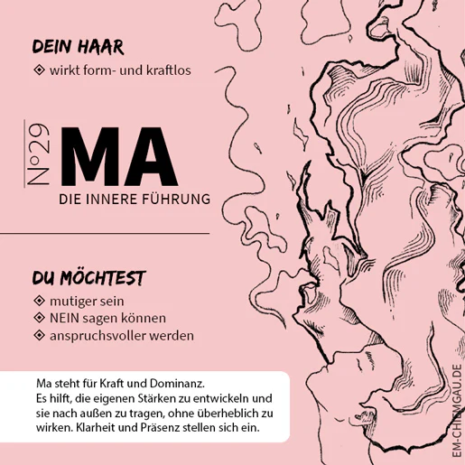 Vorschaubild 13