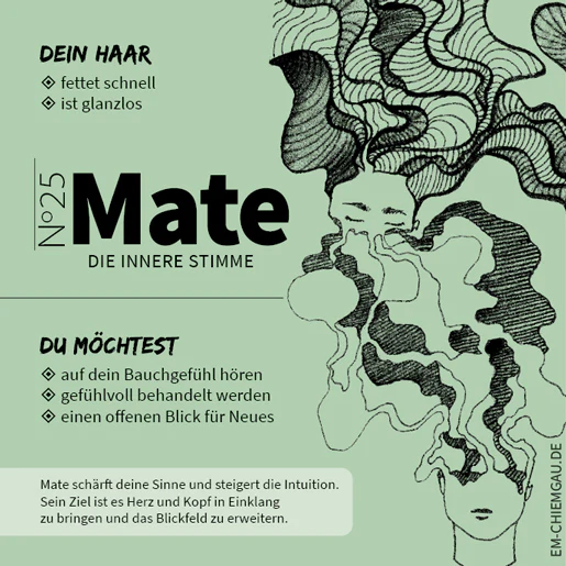 Vorschaubild 14