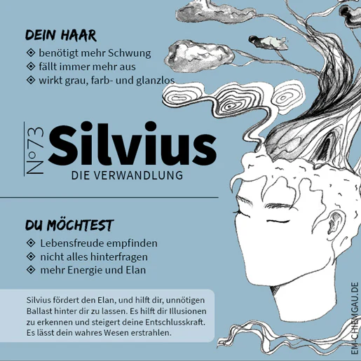 Vorschaubild 16