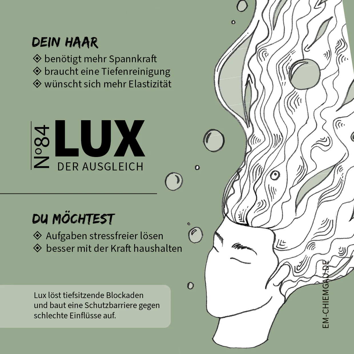Vorschaubild 19
