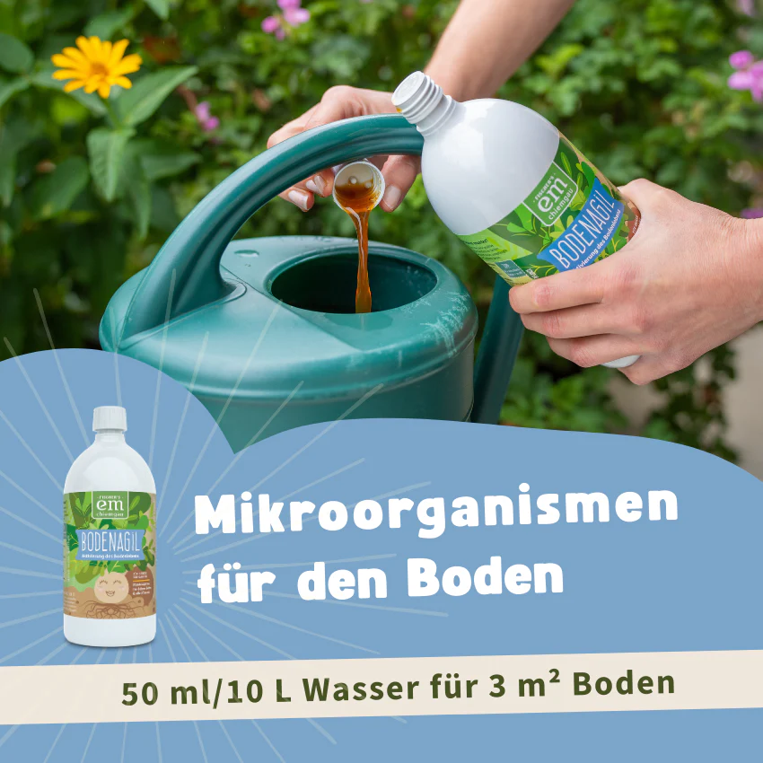 Vorschaubild 7
