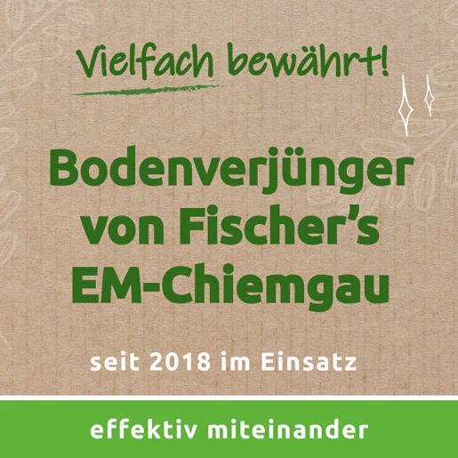Vorschaubild 7