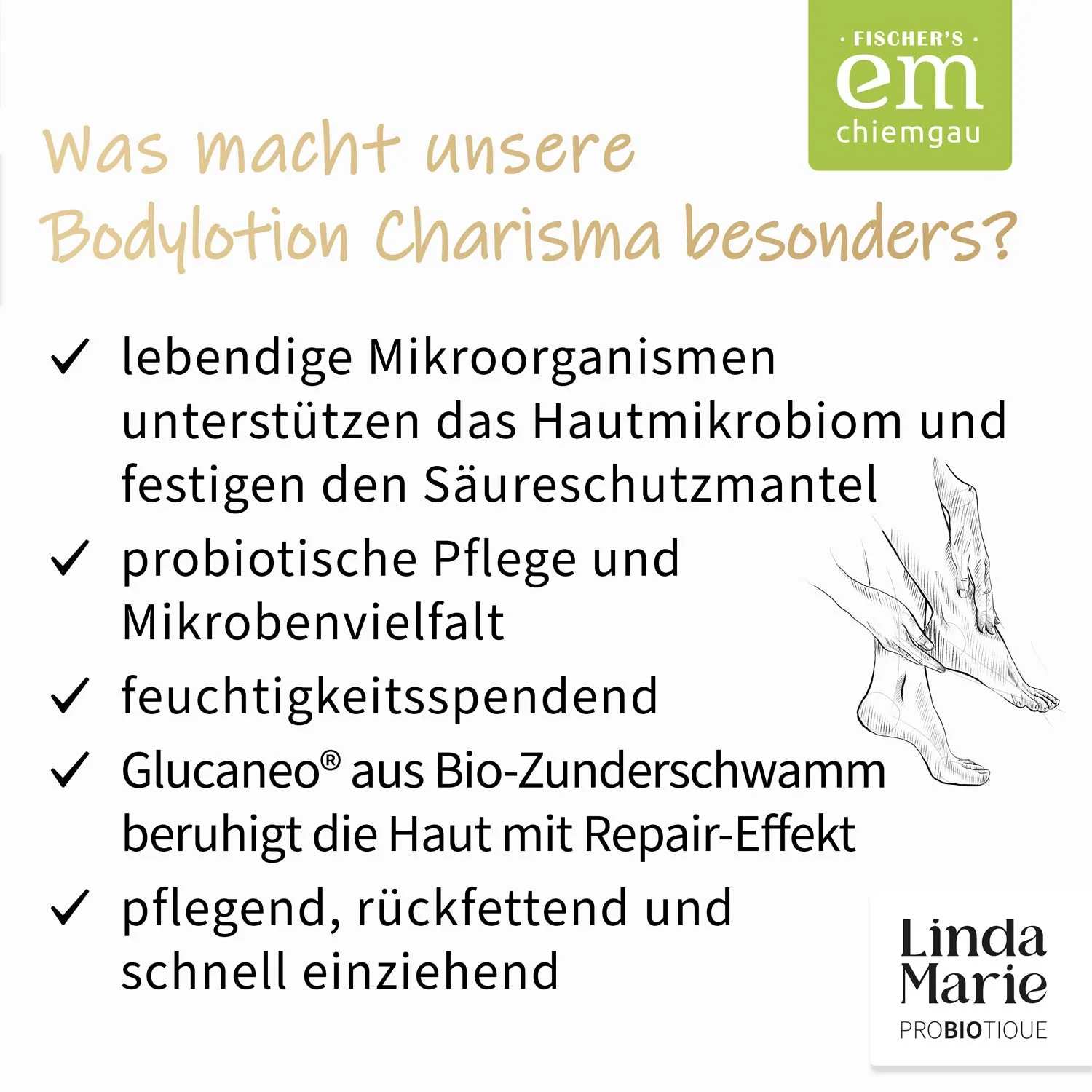 Vorschaubild 12