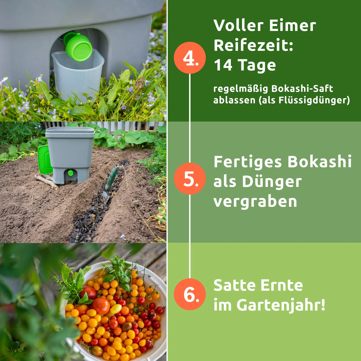 Vorschaubild 8