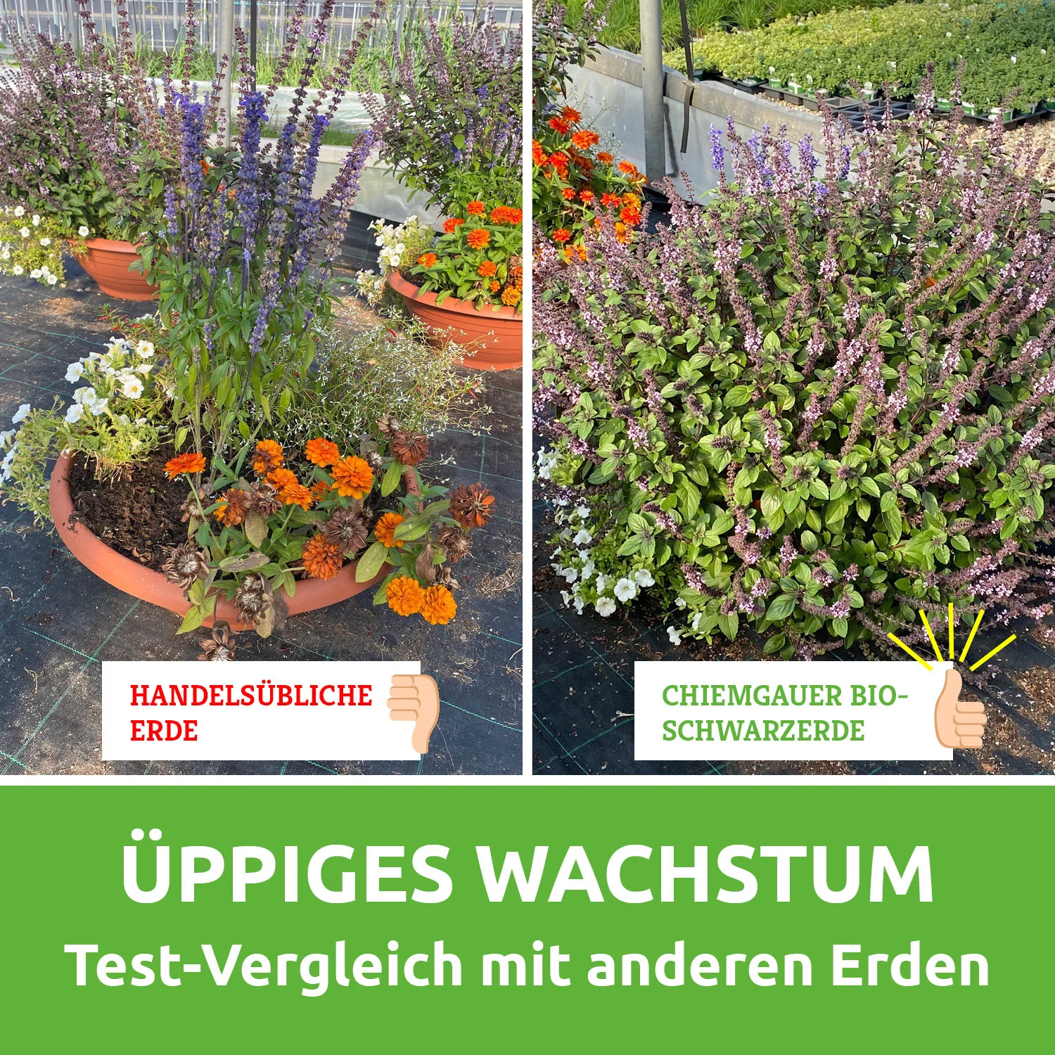 Vorschaubild 8