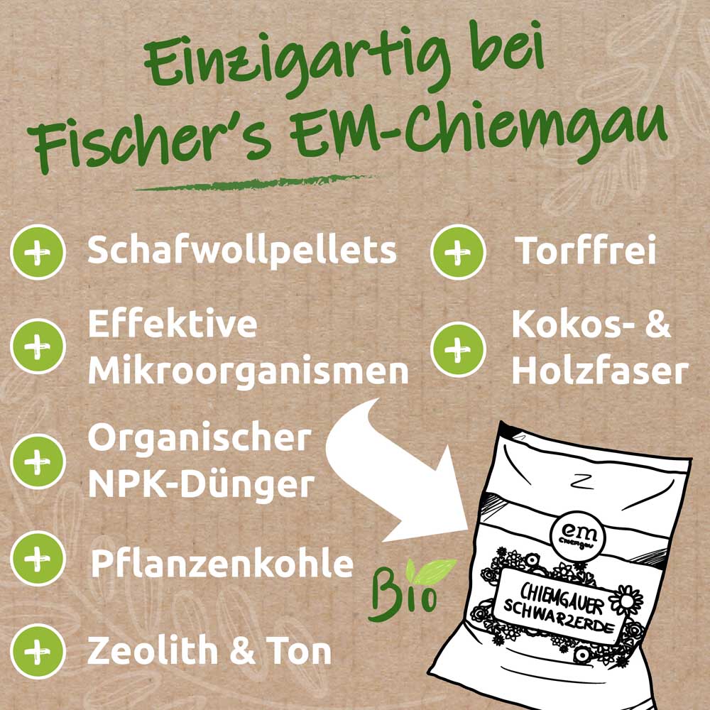 Vorschaubild 9