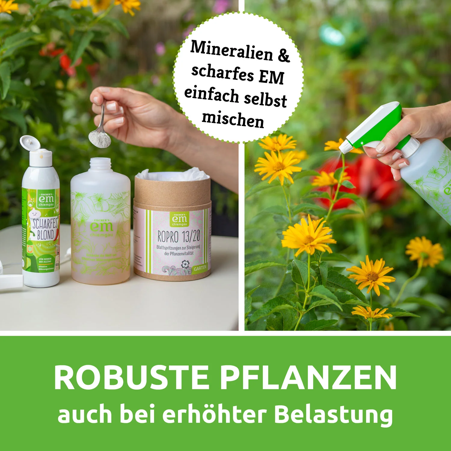 Vorschaubild 4