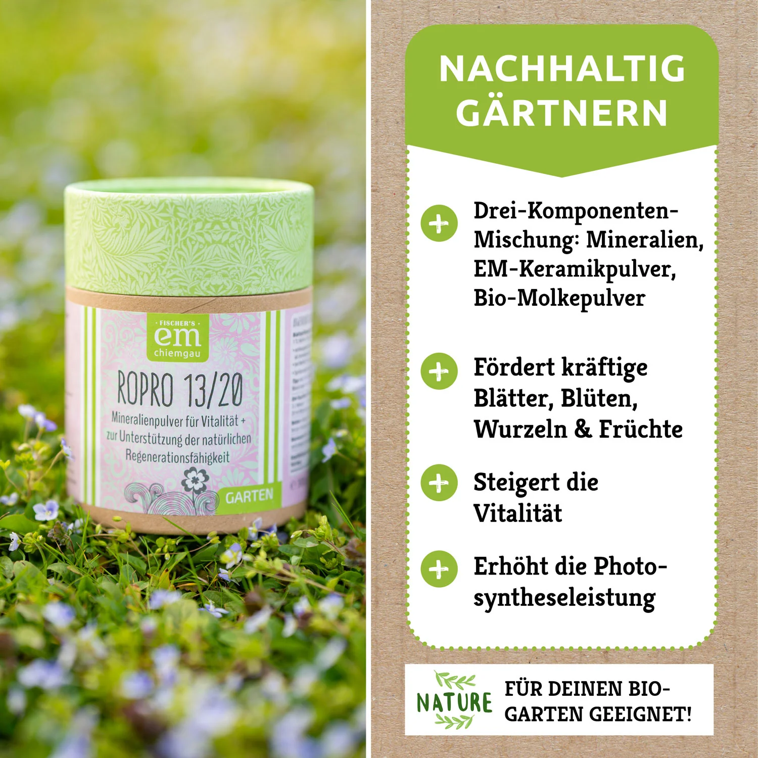 Vorschaubild 8
