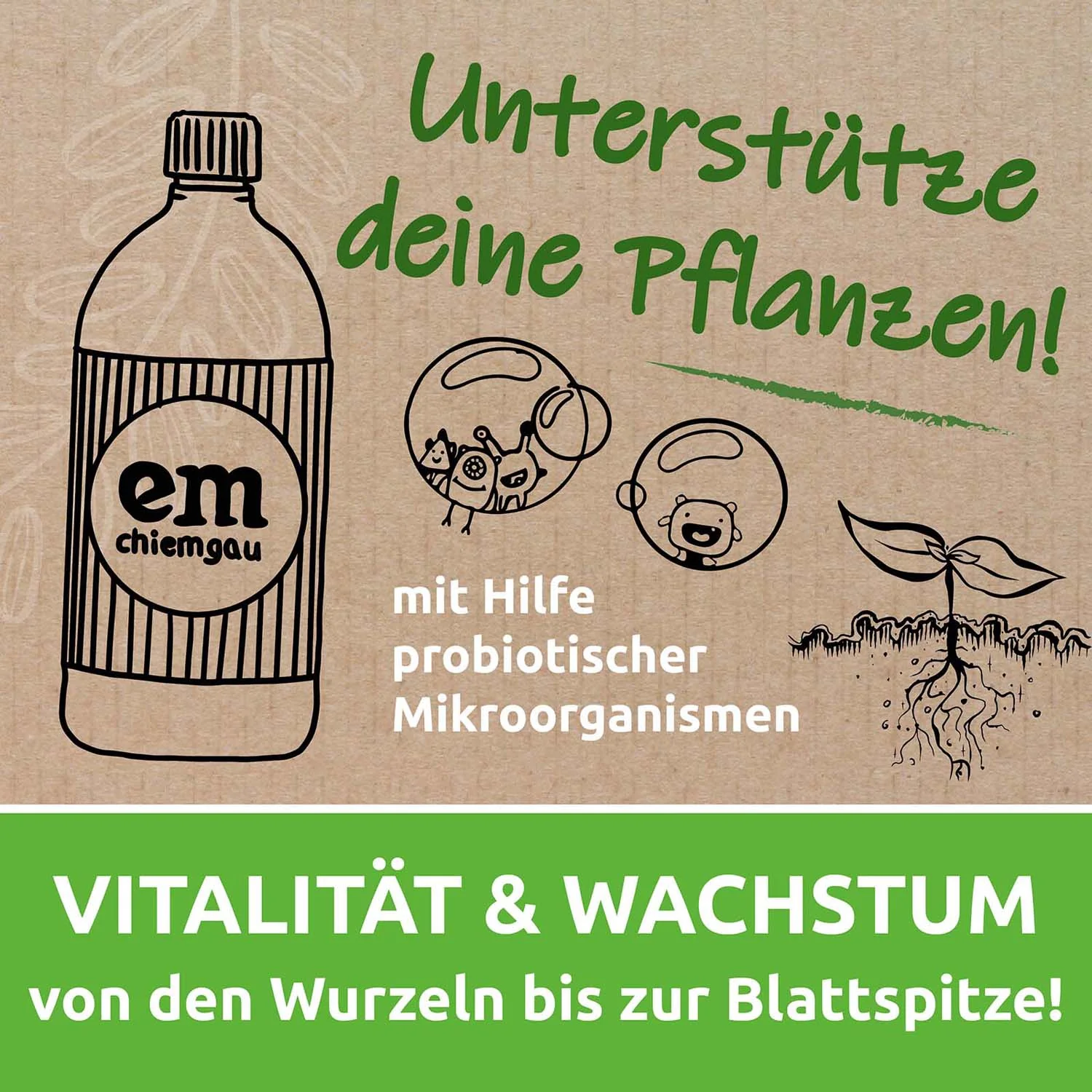 Vorschaubild 11