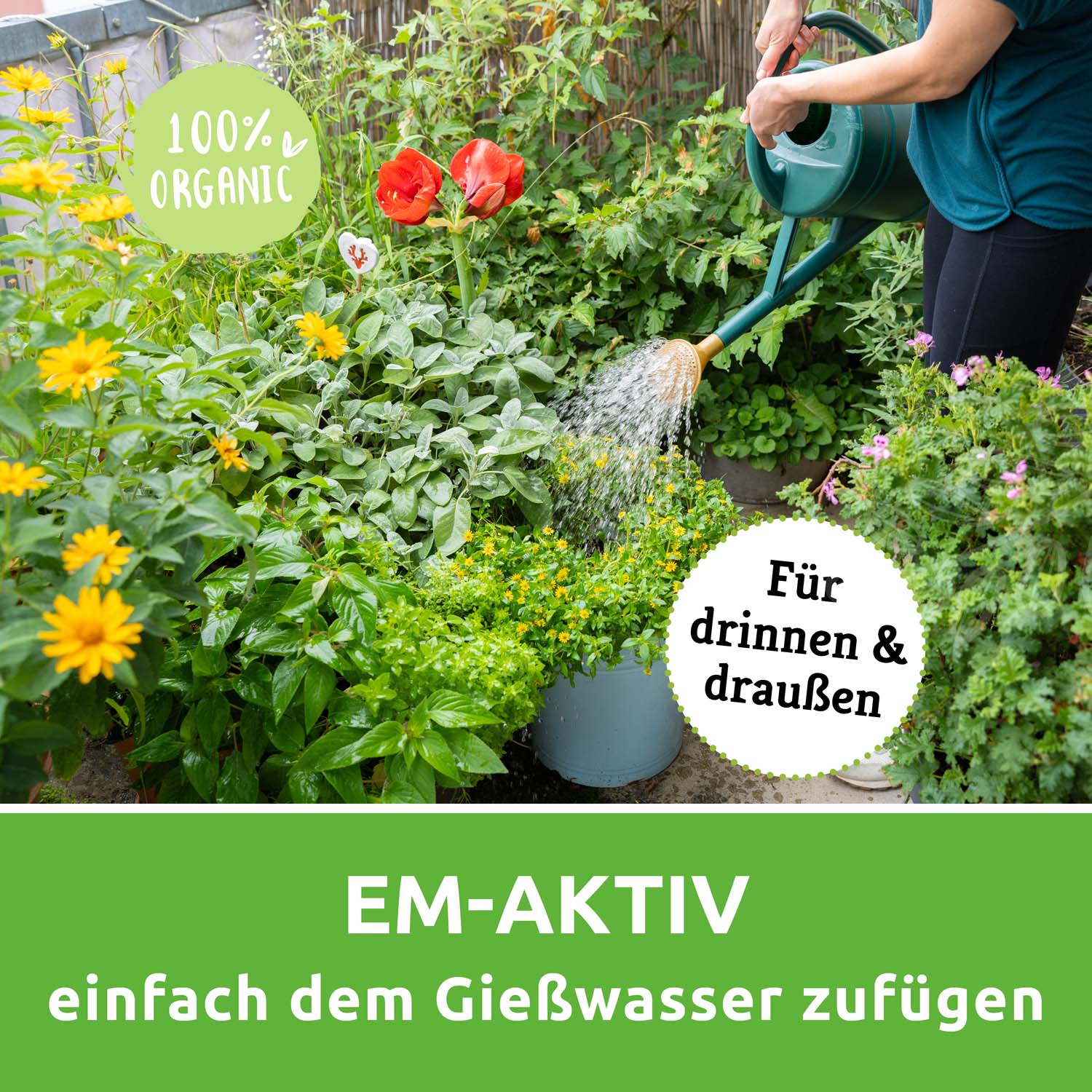 Vorschaubild 4