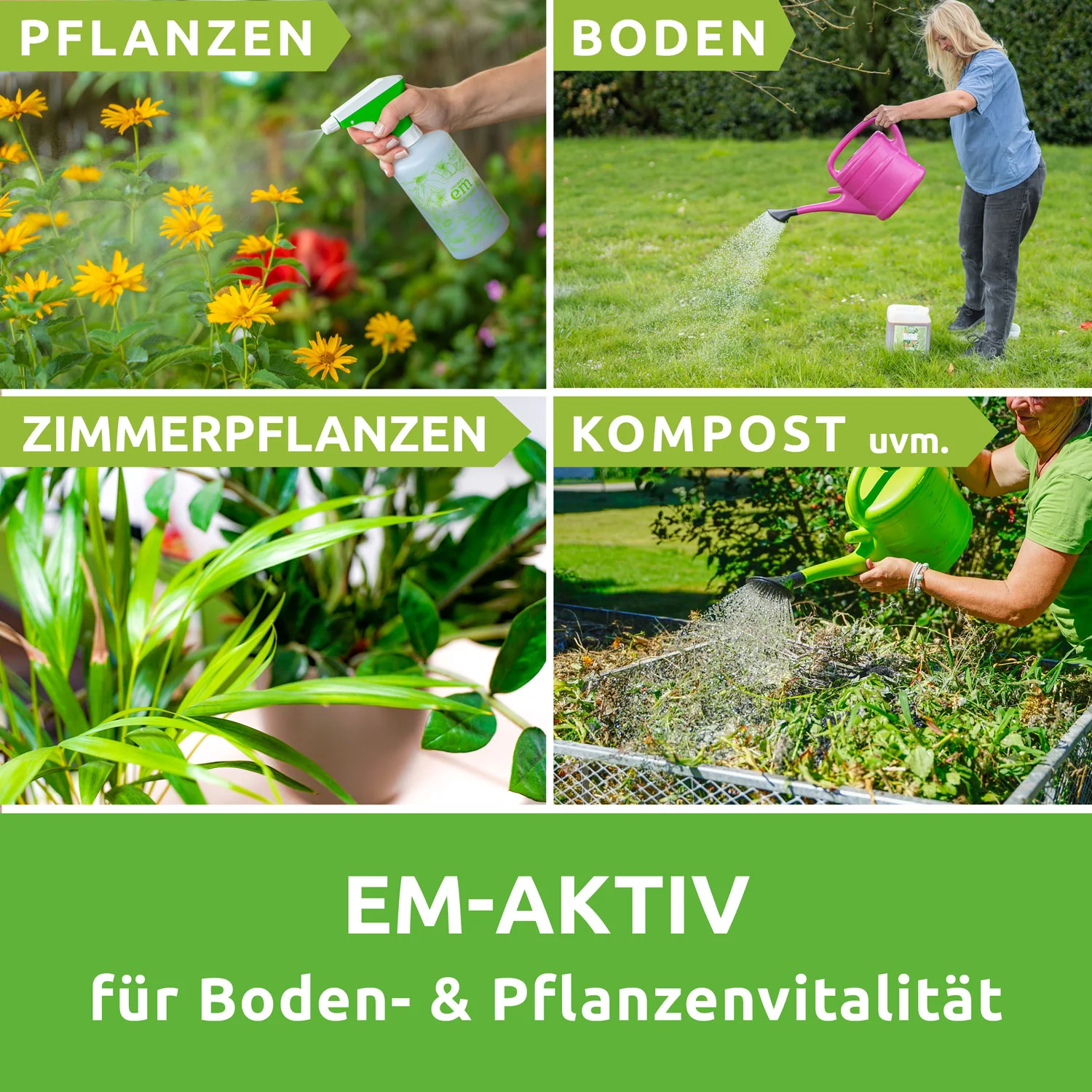 Vorschaubild 5