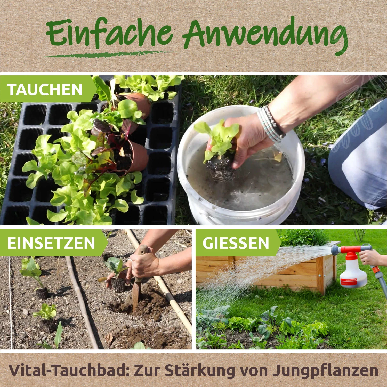 Vorschaubild 6