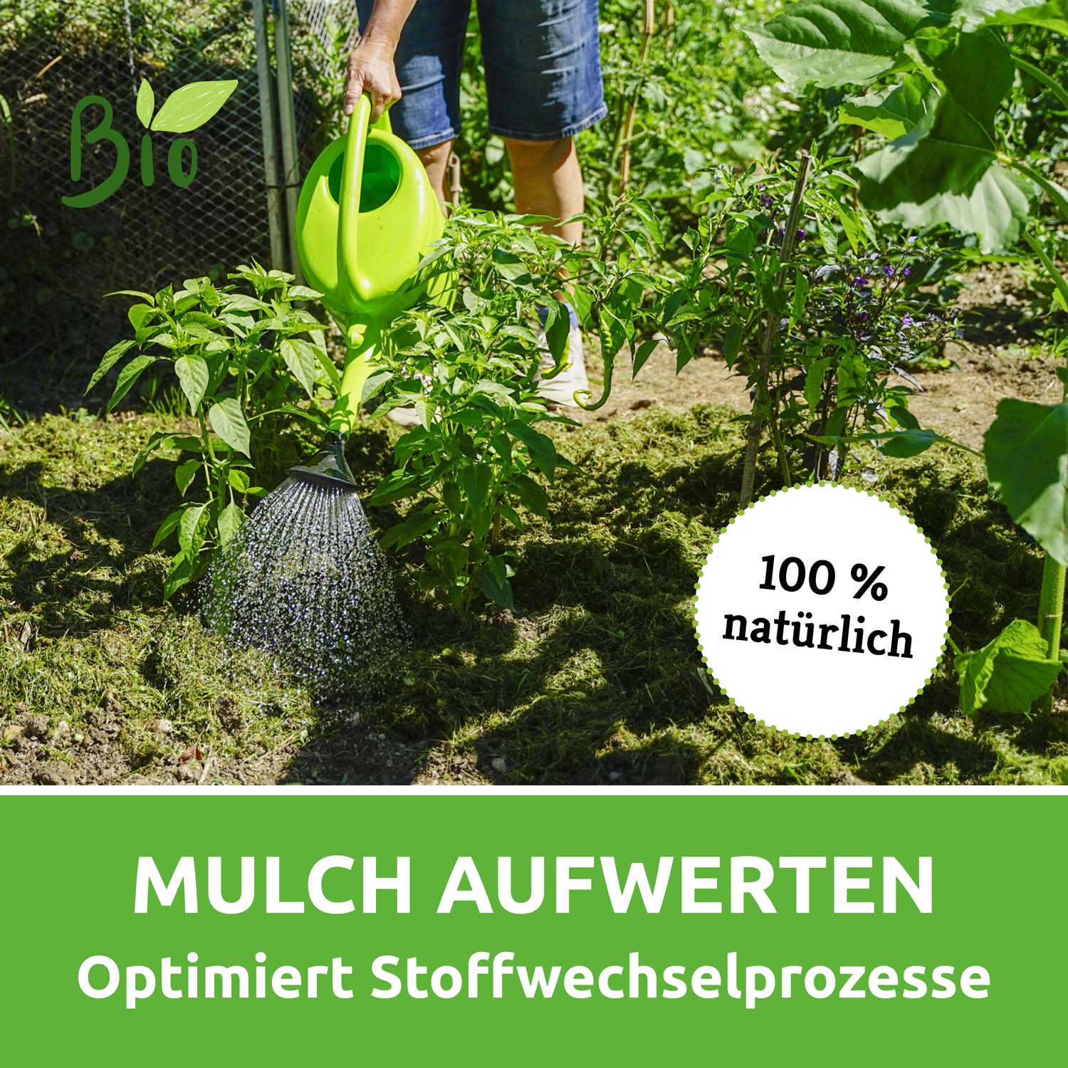 Vorschaubild 7