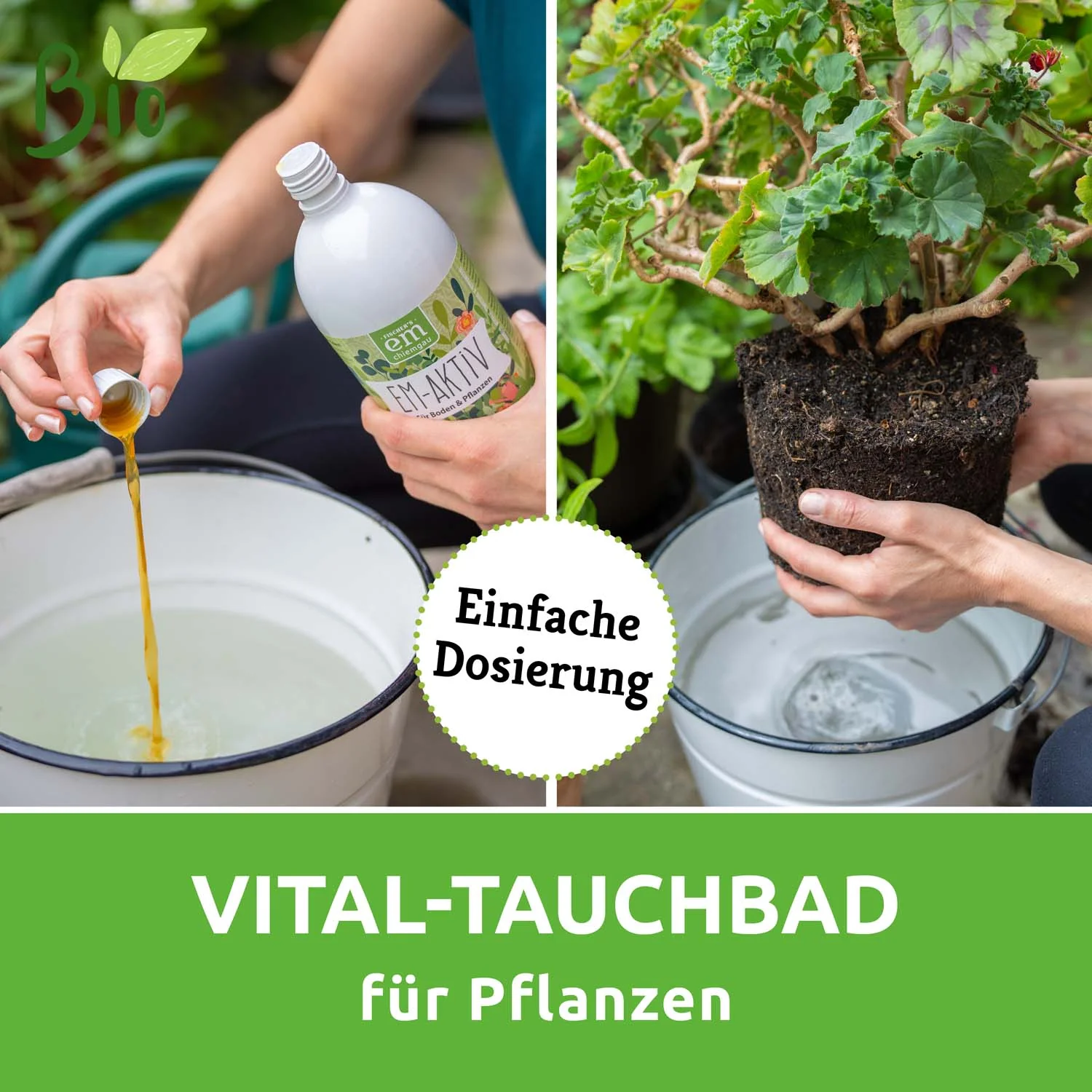 Vorschaubild 8