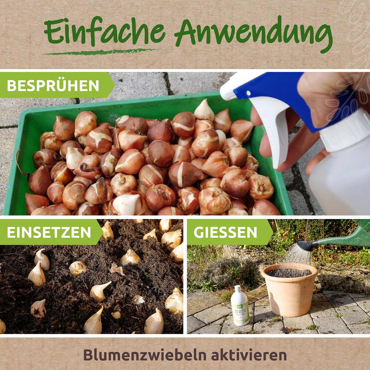 Vorschaubild 9