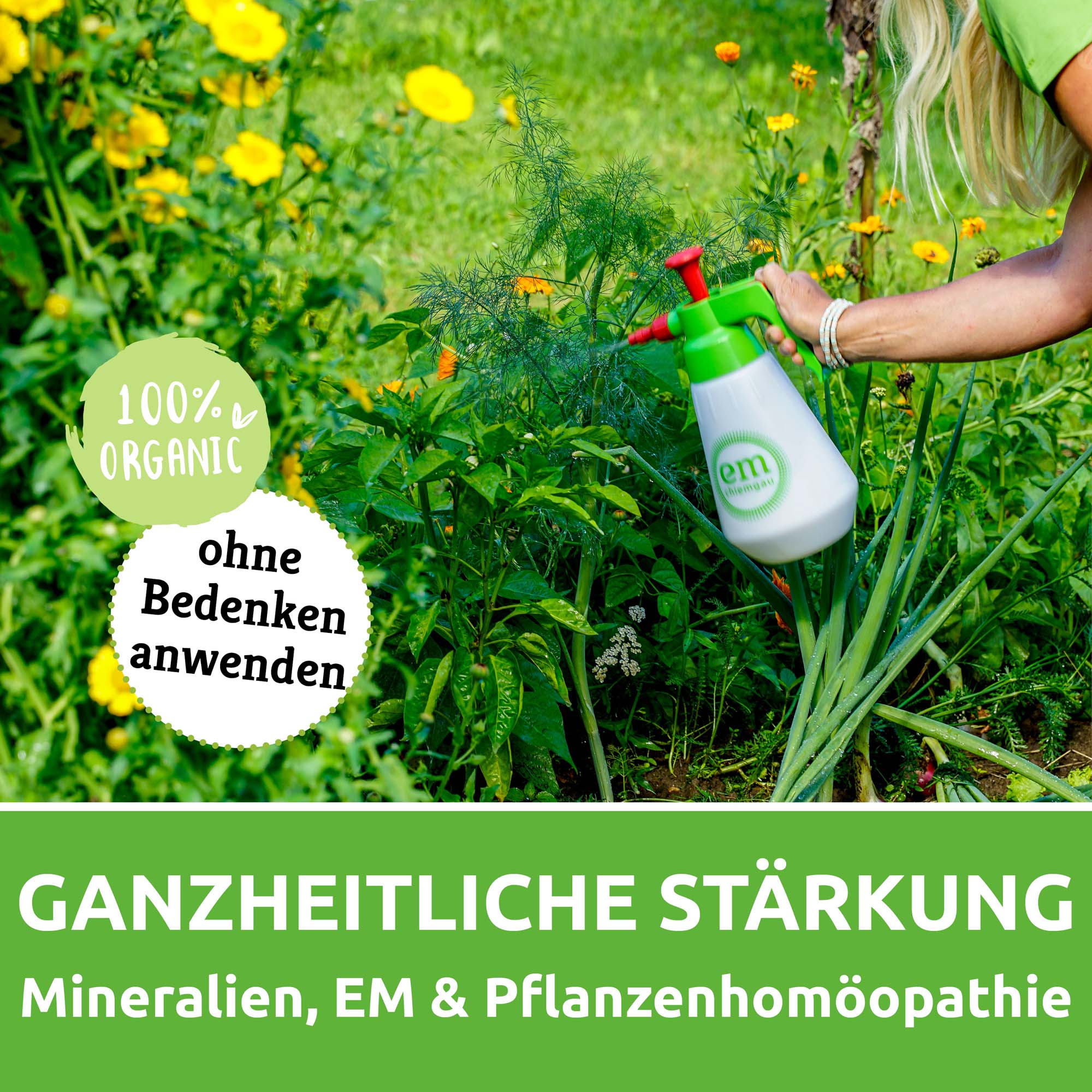 Vorschaubild 5