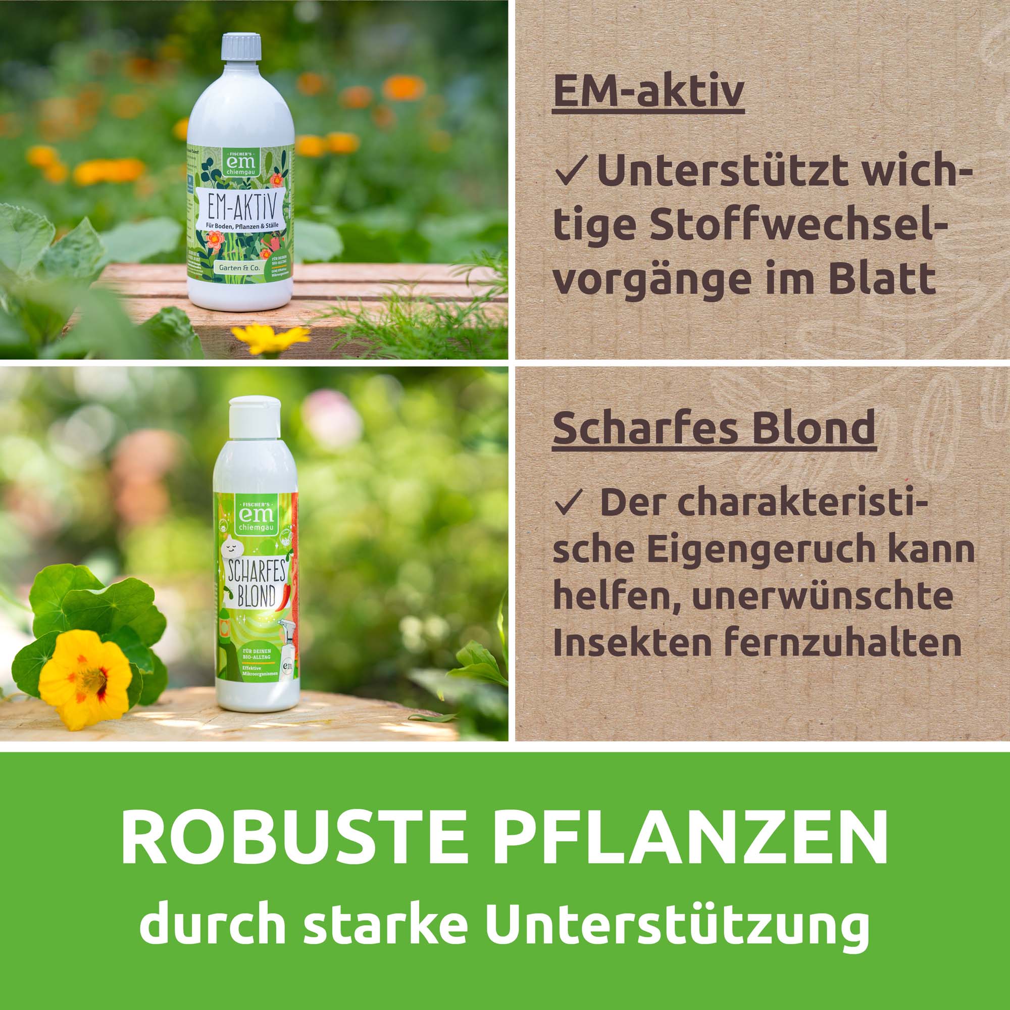 Vorschaubild 6