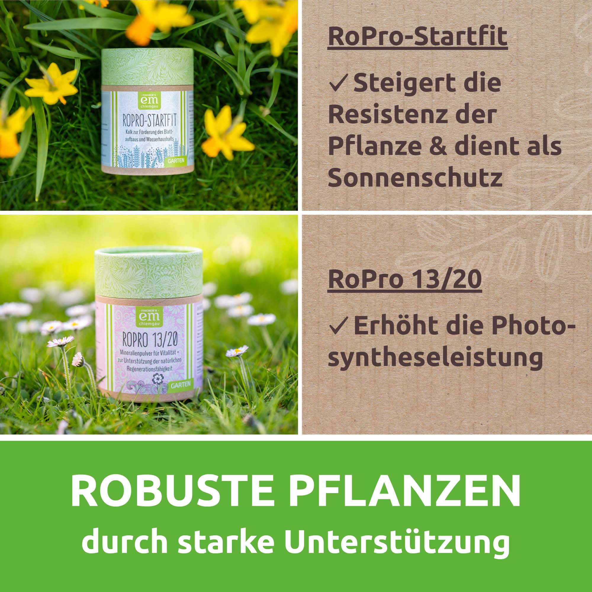Vorschaubild 7