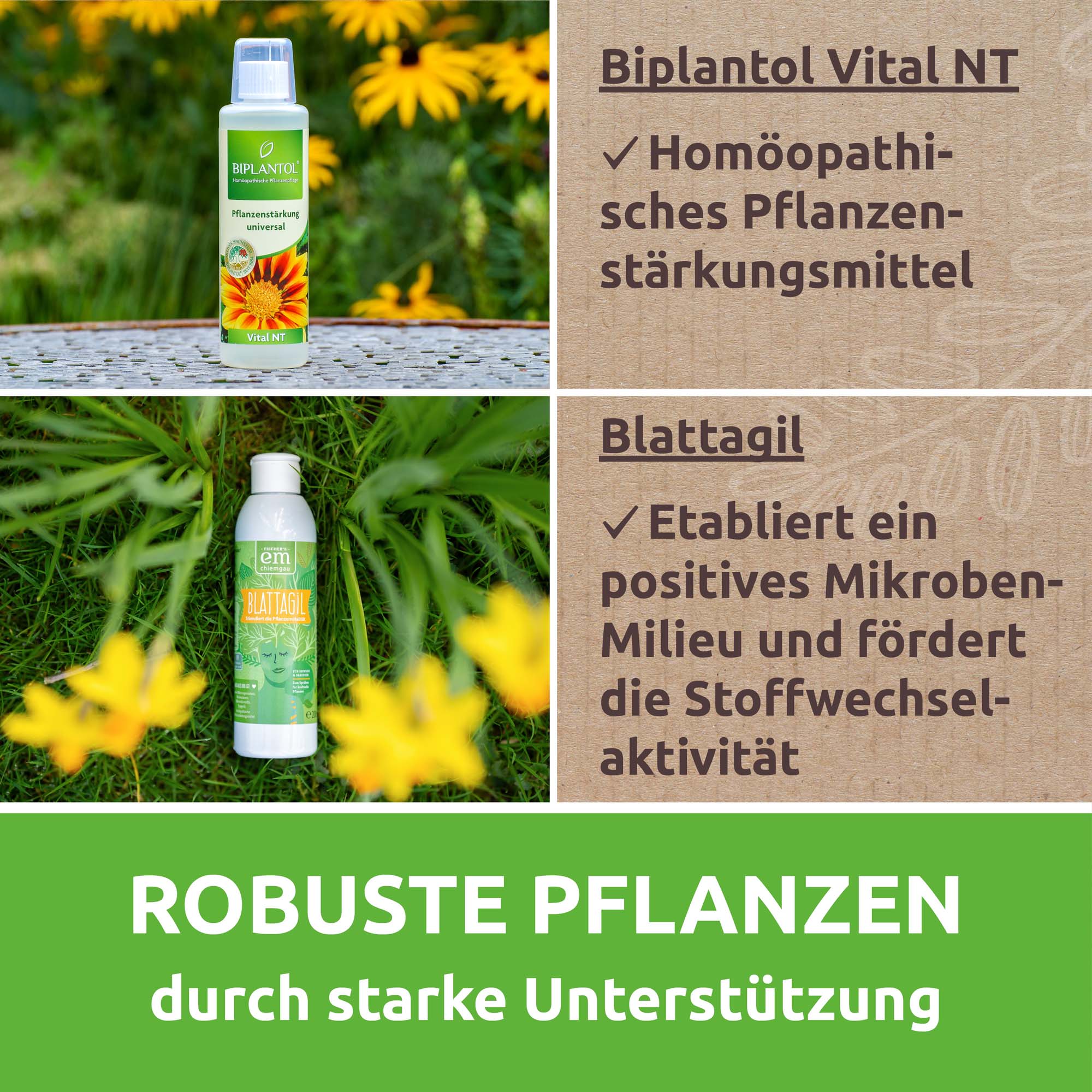 Vorschaubild 8