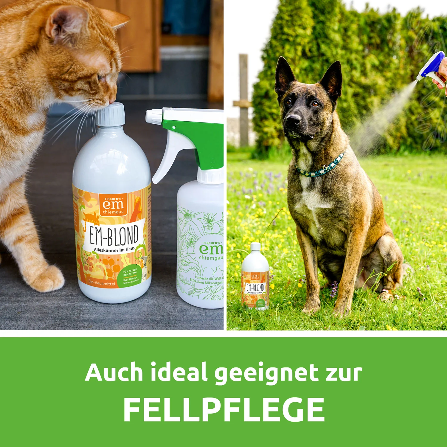 Vorschaubild 6