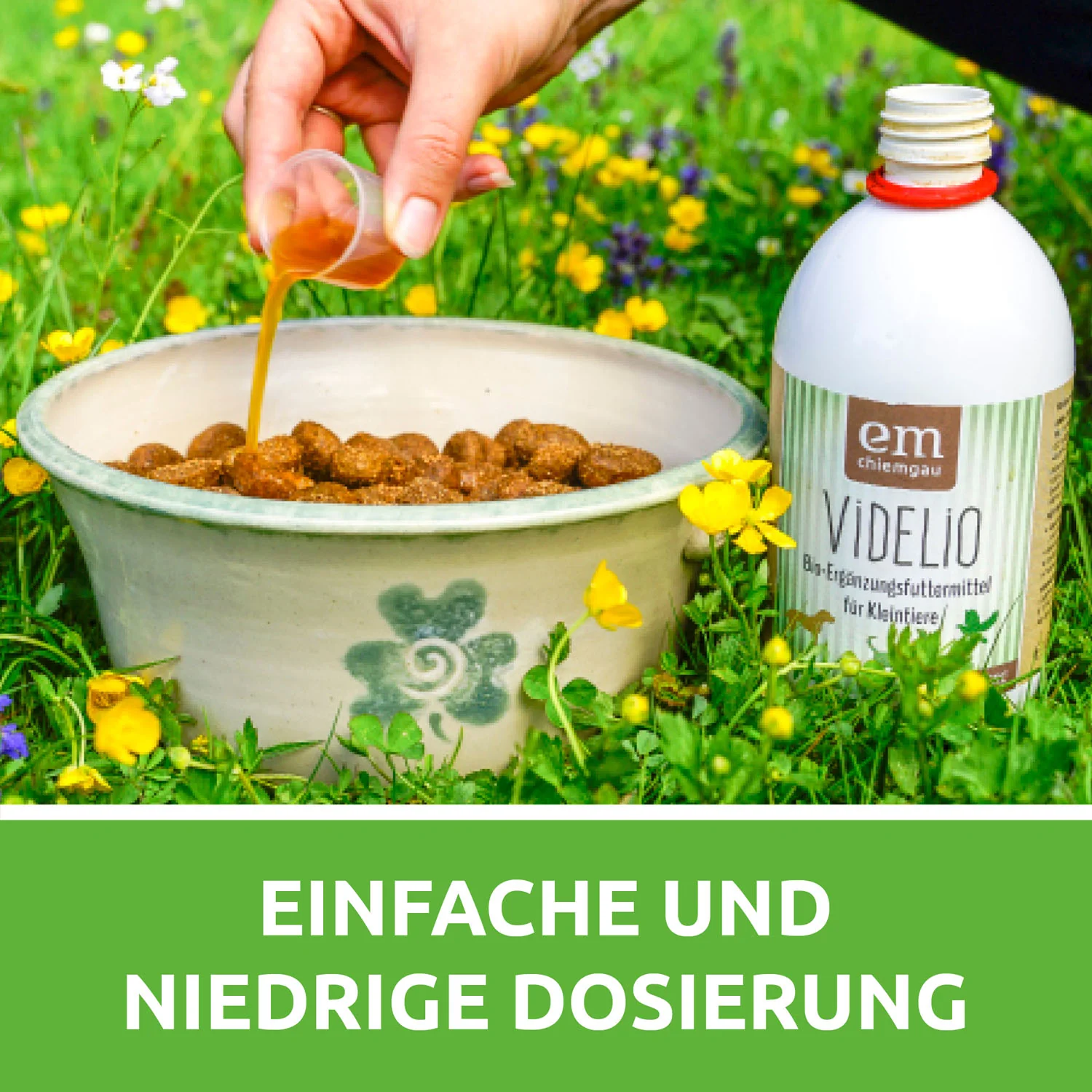 Vorschaubild 6