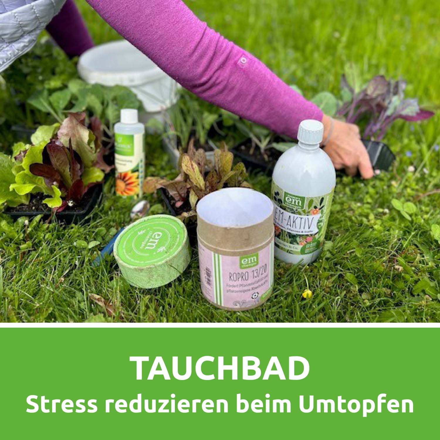 Vorschaubild 5
