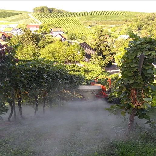 Vorschaubild 6