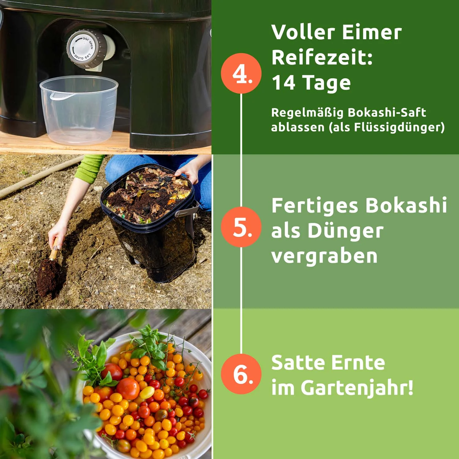 Vorschaubild 8