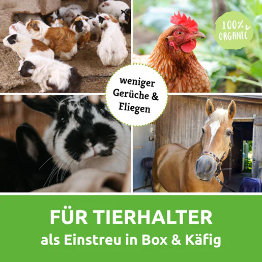 Vorschaubild 8