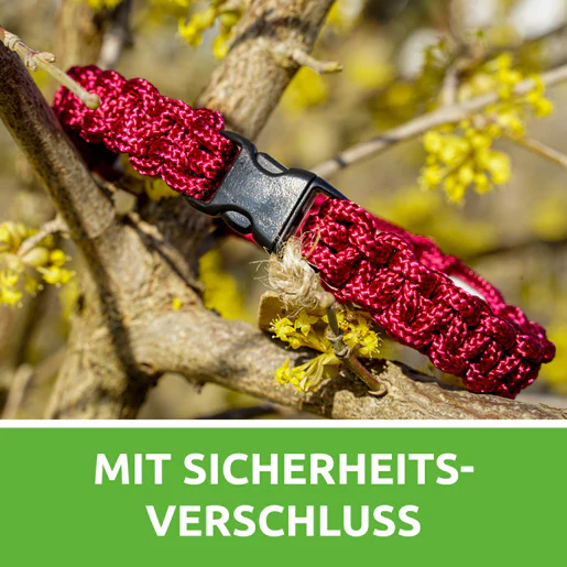 Vorschaubild 5