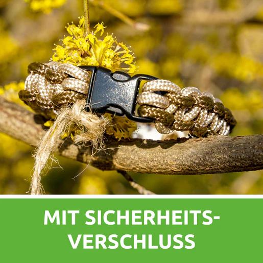 Vorschaubild 7