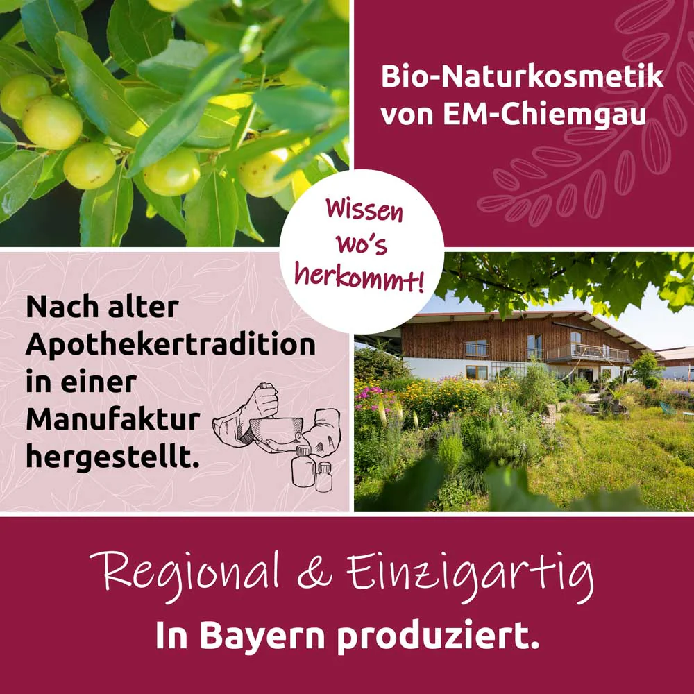 Vorschaubild 10
