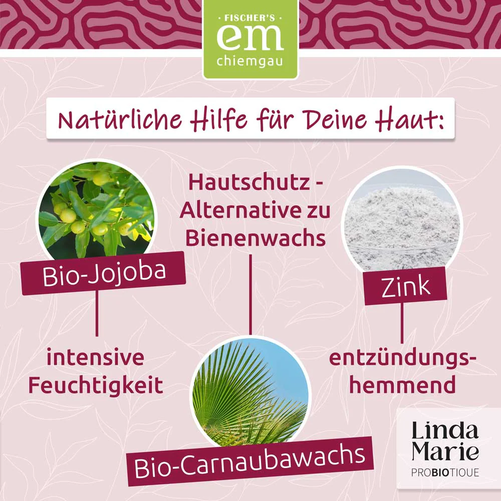 Vorschaubild 5