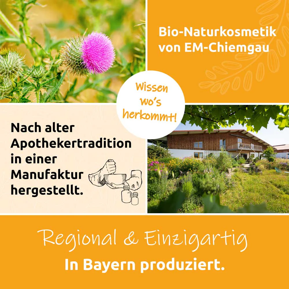 Vorschaubild 13