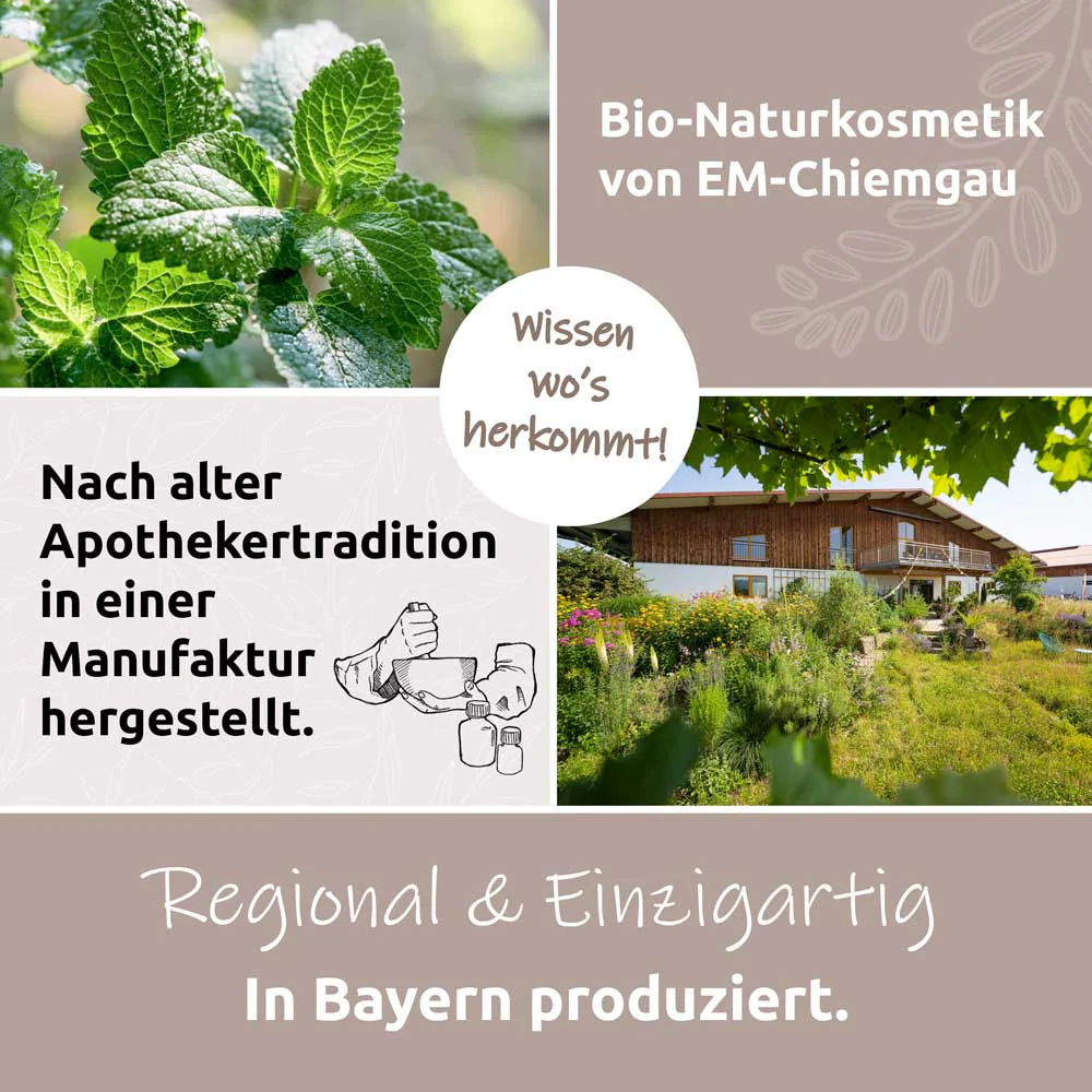 Vorschaubild 10