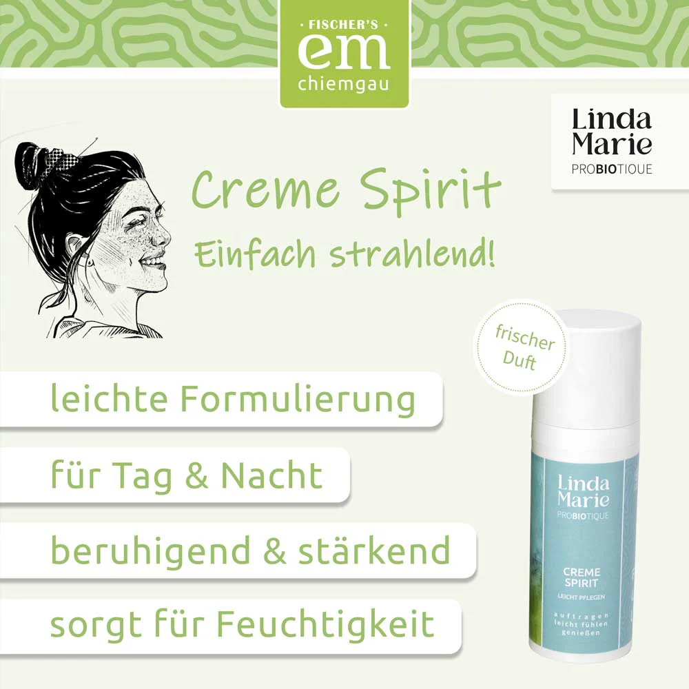 Vorschaubild 11