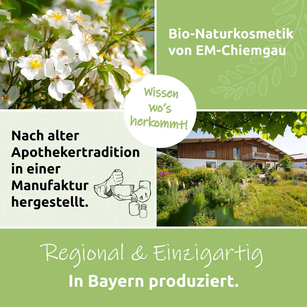 Vorschaubild 13