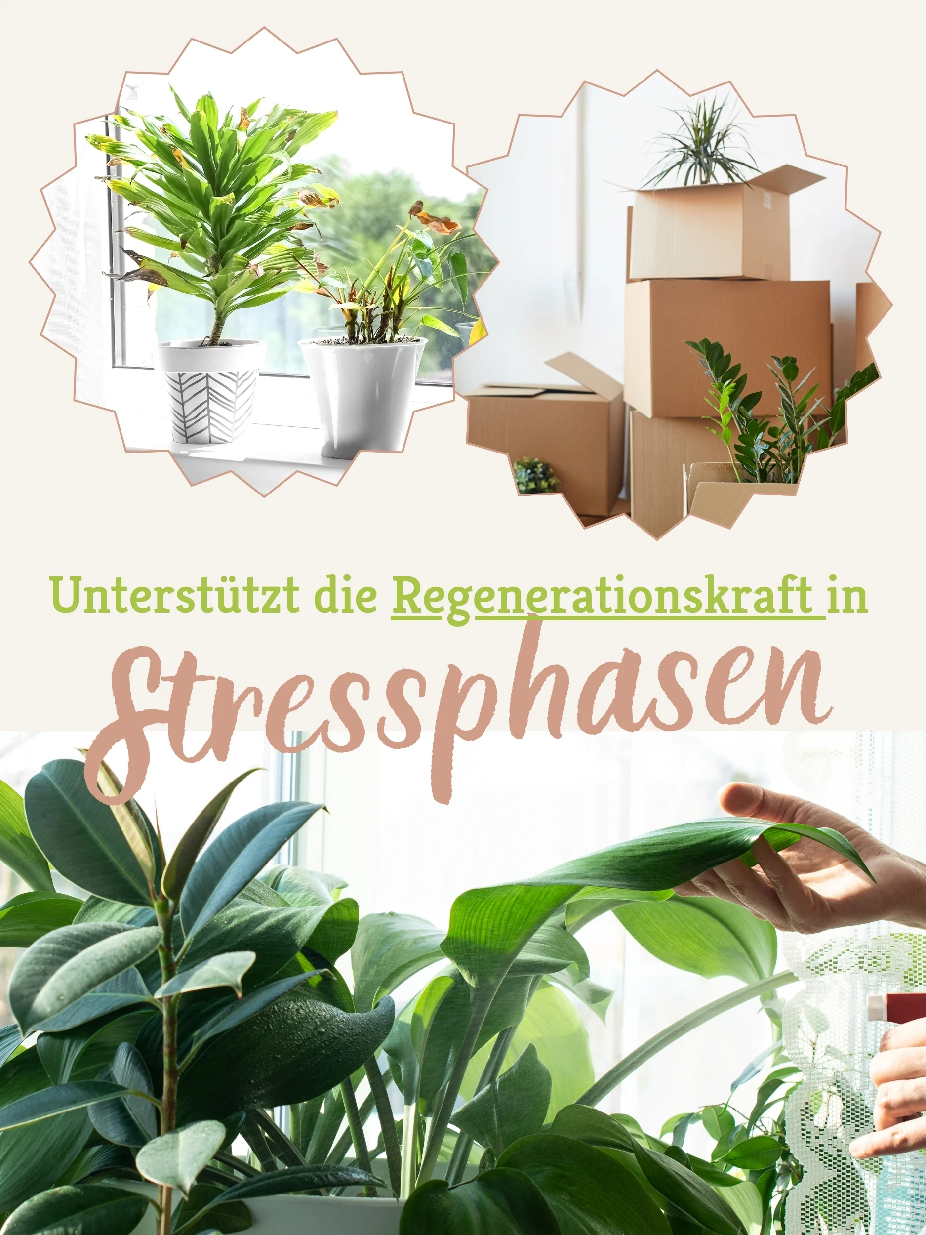 Vorschaubild 6