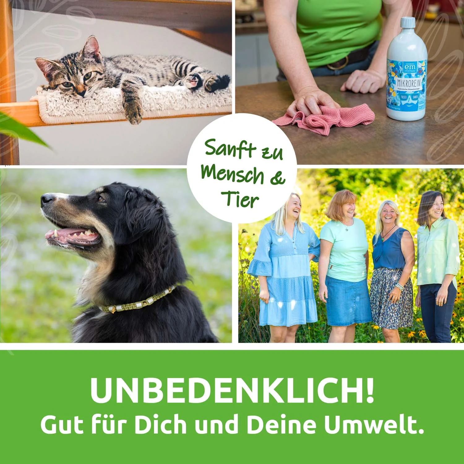 Vorschaubild 6