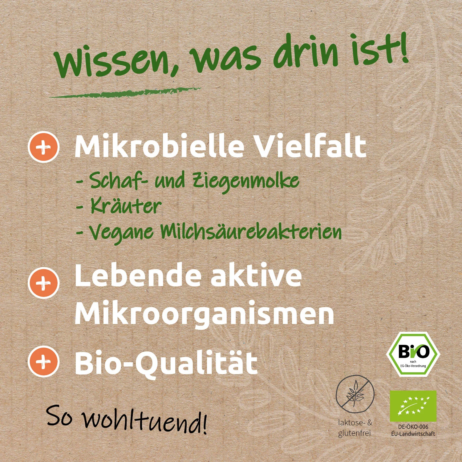 Vorschaubild 8