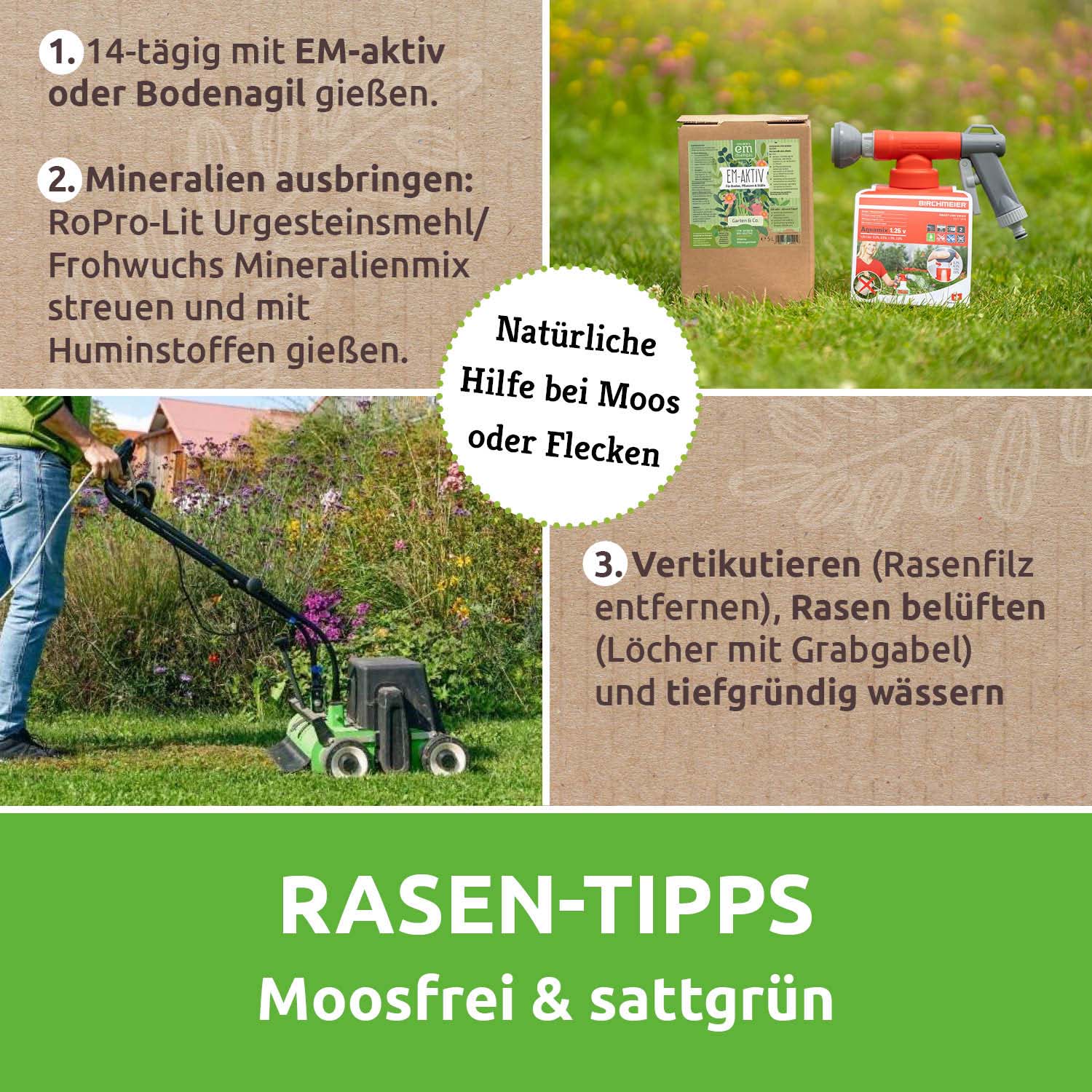 Vorschaubild 7