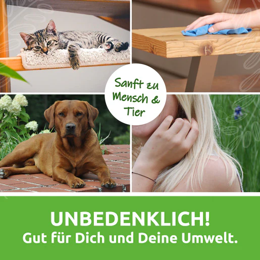Vorschaubild 8