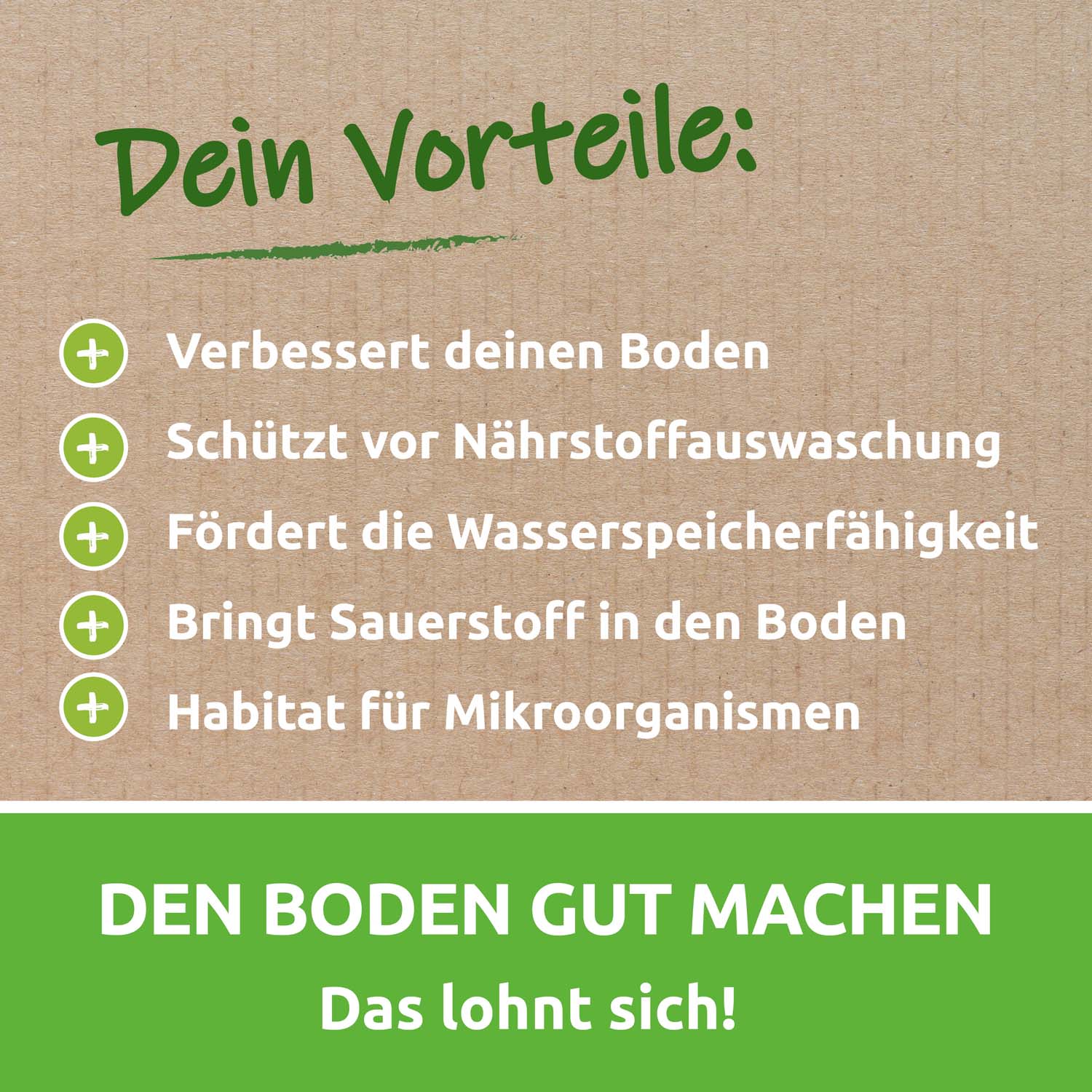 Vorschaubild 10
