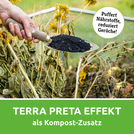 Vorschaubild 7