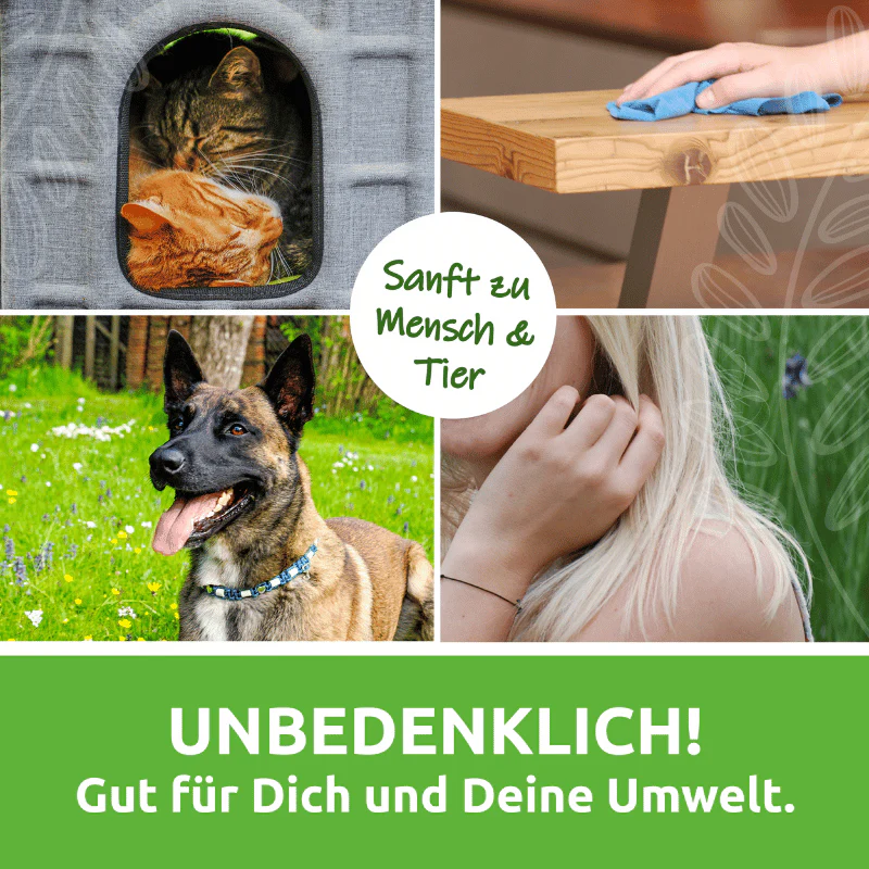 Vorschaubild 6