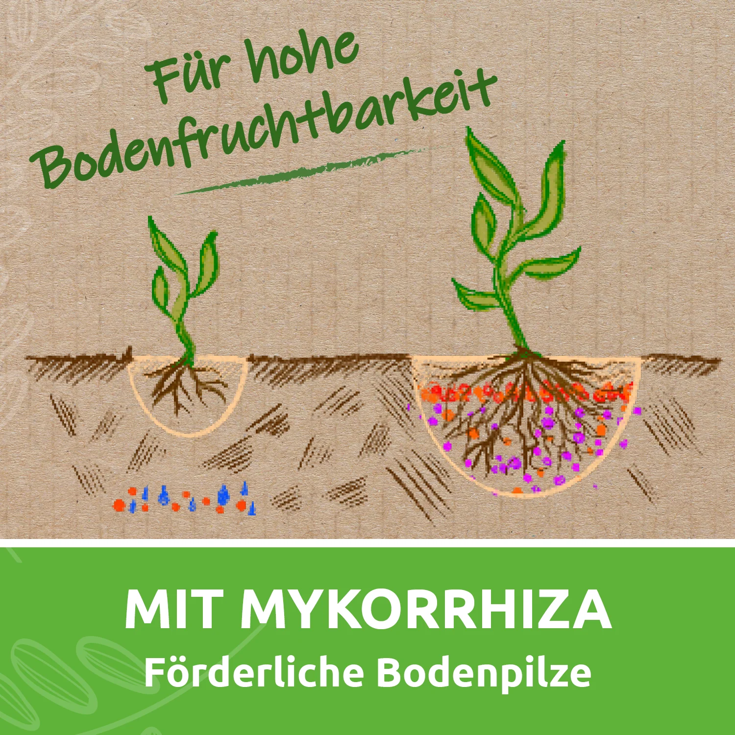Vorschaubild 7