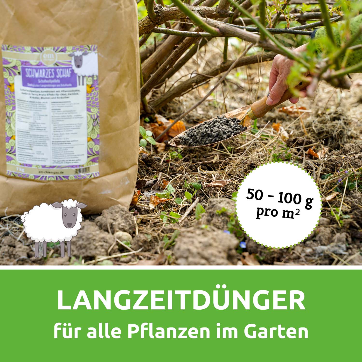 Vorschaubild 6